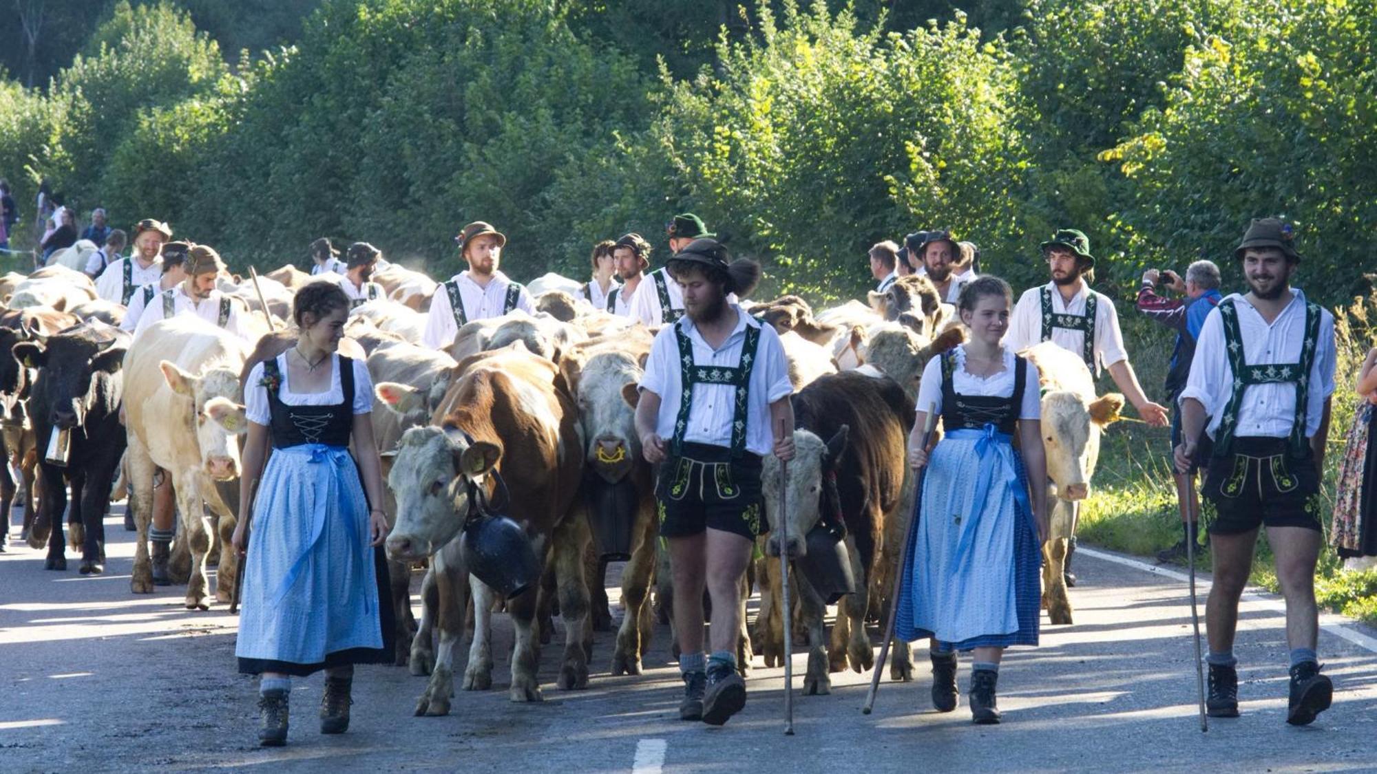FeWo Staufner Domizil Oberstaufen Exterior foto