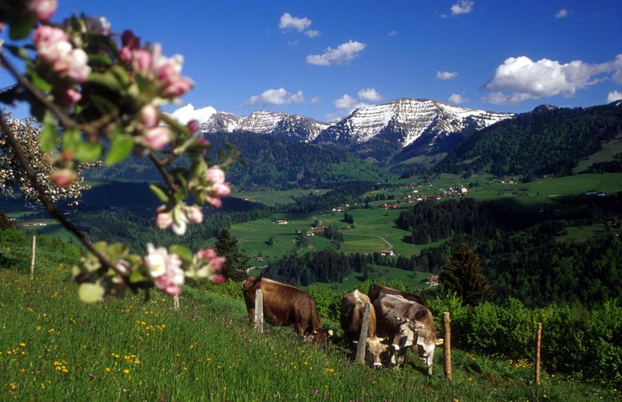 FeWo Staufner Domizil Oberstaufen Exterior foto